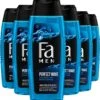 Fa Perfect Wave Douchegel 6x 250ml - Grootverpakking