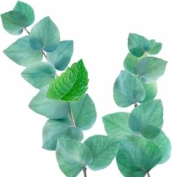 Kneipp Refreshing - Badschuim -Verzorgings Producten Winkel 1169x1200 5