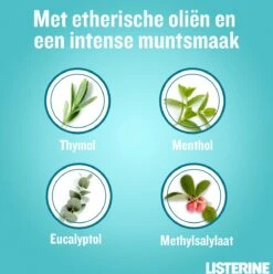 Listerine Cool Mint Mondwater, Mondspoeling Met Intens Frisse Muntsmaak, Bestrijdt Schadelijke Bacteriën Voor Gezond Tandvlees, 8 X 95 Ml 15 Listerine Cool Mint Mondwater, Mondspoeling Met Intens Frisse Muntsmaak, Bestrijdt Schadelijke Bacteriën Voor Gezond Tandvlees, 8 X 95 Ml -Verzorgings Producten Winkel 1194x1200 10
