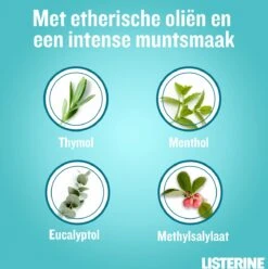 LISTERINE® Fresh Mint, Mondspoeling Met Essentiële Oliën Voor Een Langdurig Frisse Adem, 3x600ml -Verzorgings Producten Winkel 1196x1200 16