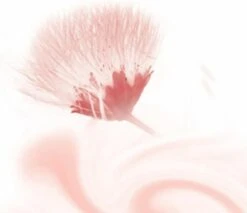 Kneipp Silky Secret - Douchegel -Verzorgings Producten Winkel 1200x1033 5