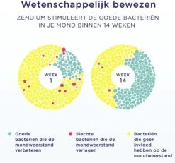 Zendium Classic Tandpasta - 12 X 75 Ml - Voordeelverpakking -Verzorgings Producten Winkel 1200x1122 7