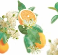 Kneipp Pure Harmony - Douchegel -Verzorgings Producten Winkel 1200x1134 2