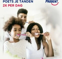 Prodent Anti-Tandsteen Tandpasta - 12 X 75 Ml - Voordeelverpakking -Verzorgings Producten Winkel 1200x1145 7