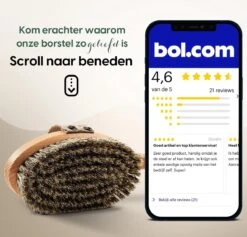 100% Natuurlijke Lichaamsborstel Met Lange Afneembare Steel - Rugborstel Badborstel Doucheborstel - Dry Brushing Huidborstel - Droogborstel - Douche -Verzorgings Producten Winkel 1200x1152 5