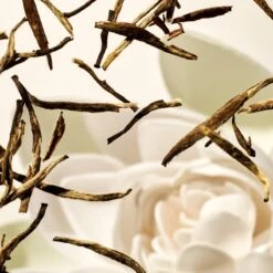 RITUALS The Ritual Of Karma Shower Foam Value Pack (3 Stuks) -Verzorgings Producten Winkel 1200x1200 1065