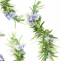 Kneipp New Energy - Douchegel -Verzorgings Producten Winkel 1200x1200 1108