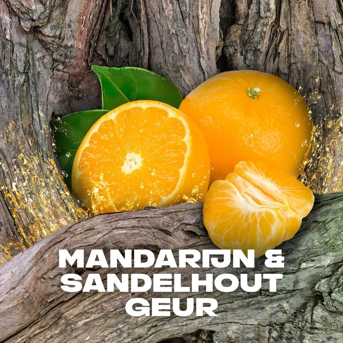 Axe Africa 3-in-1 Douchegel - 6 X 250 Ml - Voordeelverpakking 6 Axe Africa 3-in-1 Douchegel - 6 X 250 Ml - Voordeelverpakking - Afbeelding 6