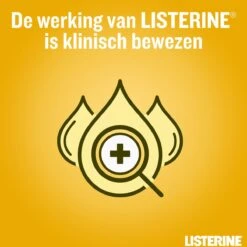 LISTERINE Fresh Ginger & Lime Mondwater, Met Gember- En Limoenextract, Mondspoeling Zonder Alcohol, Voor Een Frisse Adem, 3 X 500 Ml -Verzorgings Producten Winkel 1200x1200 1681