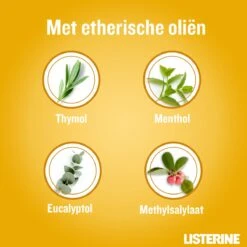 LISTERINE Fresh Ginger & Lime Mondwater, Met Gember- En Limoenextract, Mondspoeling Zonder Alcohol, Voor Een Frisse Adem, 3 X 500 Ml -Verzorgings Producten Winkel 1200x1200 1682