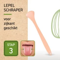 Nutty Green 3-Delige Tongschraper Set Inclusief Opbergcase - Tongreiniging Mondverzorging - Tongreiniger Mondhygiëne - RVS Schraper Voor Schone Tong Reiniging - Tongborstel Tegen Slechte Adem - Zero Waste Lifestyle -Verzorgings Producten Winkel 1200x1200 1817
