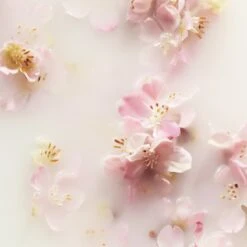 RITUALS The Ritual Of Sakura Recovery Hand Balm - 70 Ml 6 RITUALS The Ritual Of Sakura Recovery Hand Balm - 70 Ml -Verzorgings Producten Winkel 1200x1200 325