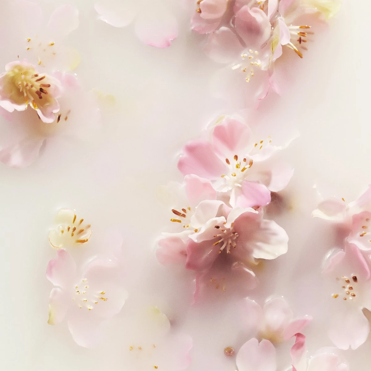 RITUALS The Ritual Of Sakura Recovery Hand Balm - 70 Ml 3 RITUALS The Ritual Of Sakura Recovery Hand Balm - 70 Ml - Afbeelding 3