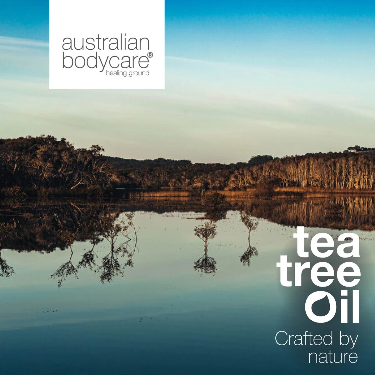 Australian Bodycare Body Cream 100 Ml - Intensieve Vochtinbrengende Crème Voor Zeer Droge & Beschadigde Huid - Met Actieve Ingrediënten Tea Tree Om De Natuurlijke Bacterieflora In Balans Te Houden En Toverhazelaar Voor Hydratatie Van De Huid 7 Australian Bodycare Body Cream 100 Ml - Intensieve Vochtinbrengende Crème Voor Zeer Droge & Beschadigde Huid - Met Actieve Ingrediënten Tea Tree Om De Natuurlijke Bacterieflora In Balans Te Houden En Toverhazelaar Voor Hydratatie Van De Huid - Afbeelding 7