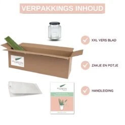 Dr. Green® 1x- Aloë Vera Blad - MAAK GEL IN 3 MINUTEN - 100% Puur - Biologisch -Verzorgings Producten Winkel 1200x1200 712