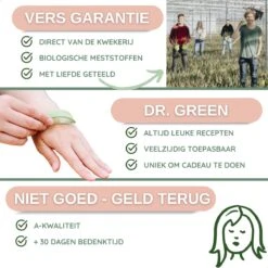 Dr. Green® 1x- Aloë Vera Blad - MAAK GEL IN 3 MINUTEN - 100% Puur - Biologisch -Verzorgings Producten Winkel 1200x1200 716