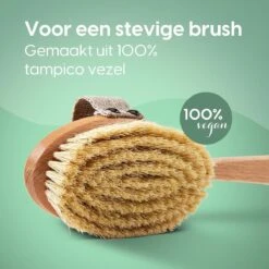 100% Vegan Lichaamsborstel Met Lange Afneembare Steel - Rugborstel/Badborstel/Doucheborstel - Dry Brushing Huidborstel - Droogborstel - Douche -Verzorgings Producten Winkel 1200x1200 844