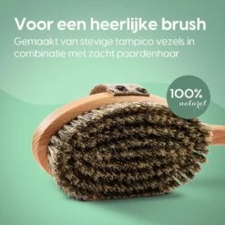 100% Natuurlijke Lichaamsborstel Met Lange Afneembare Steel - Rugborstel Badborstel Doucheborstel - Dry Brushing Huidborstel - Droogborstel - Douche -Verzorgings Producten Winkel 1200x1200 888