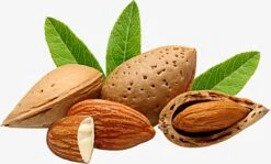 Amandelolie 100ml | 100% Puur & Onbewerkt | Koudgeperste Zoete Amandel Olie Voor Haar, Huid En Lichaam -Verzorgings Producten Winkel 1200x723