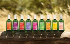 Weleda Lavendel Ontspannende Body Olie -Verzorgings Producten Winkel 1200x758 2