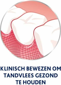 Parodontax Daily Care - Mondwater - Extra Fresh - Voor Gezond Tandvlees - 500 Ml -Verzorgings Producten Winkel 855x1200 5