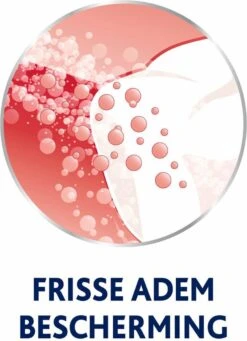 Parodontax Daily Care - Mondwater - Extra Fresh - Voor Gezond Tandvlees - 500 Ml -Verzorgings Producten Winkel 870x1200 5