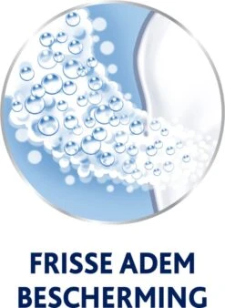 Parodontax Daily Care - Mondwater - Extra Fresh - Voor Gezond Tandvlees - 500 Ml -Verzorgings Producten Winkel 876x1200 5