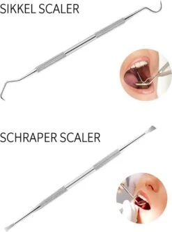 Newide Professionele Tandarts Set Met Luxe Etui – Tandsteen Verwijderaar – RVS Tandarts Setje – Tandenstokers – Tandartshaakje – Tand Verzorging Gereedschap Set – Tandplak Verwijderaar -Verzorgings Producten Winkel 889x1200