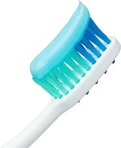 Meridol Tandenborstel Zacht - 3 Stuks - Voordeelverpakking 17 Meridol Tandenborstel Zacht - 3 Stuks - Voordeelverpakking -Verzorgings Producten Winkel 982x1200 2